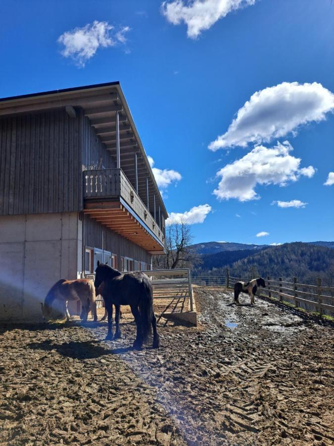 Erlebnisbauernhof Gutschi Ranch Kamp Exterior photo
